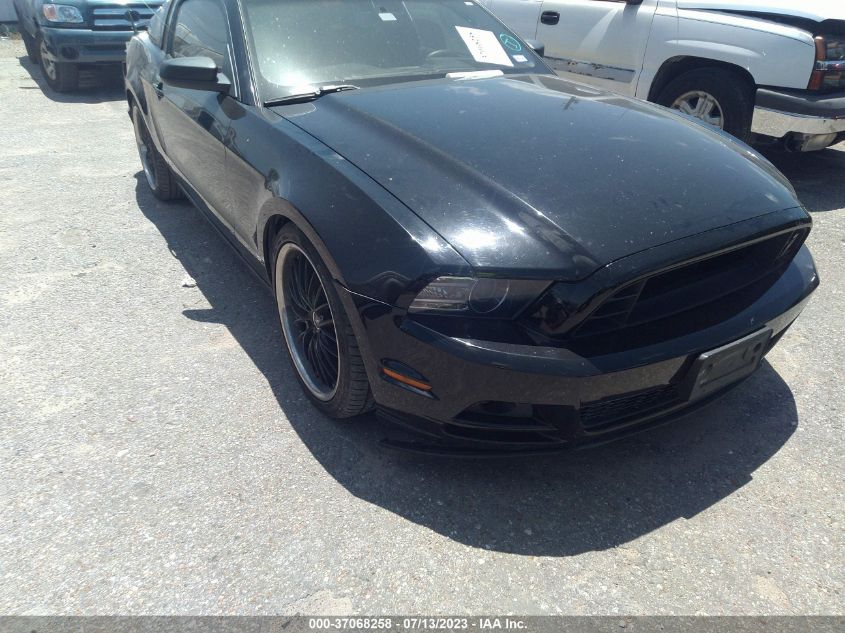 2014 FORD MUSTANG V6 - 1ZVBP8AMXE5252088