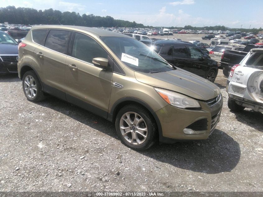 2013 FORD ESCAPE SEL - 1FMCU0HXXDUB05898