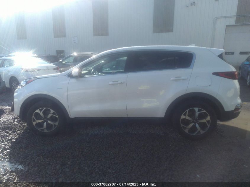 2022 KIA SPORTAGE LX - KNDPMCAC0N7982916
