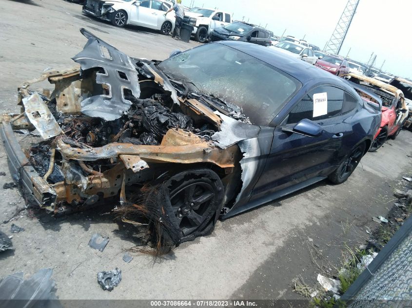 2019 FORD MUSTANG - 1FA6P8TH6K5111587