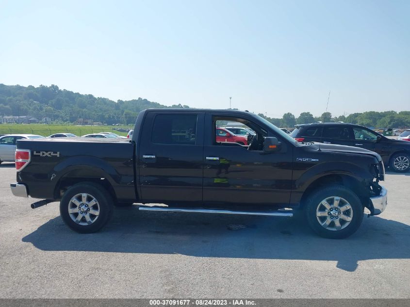 2014 FORD F-150 XL/XLT/STX/FX4/LARIAT - 1FTFW1EF5EKF22825