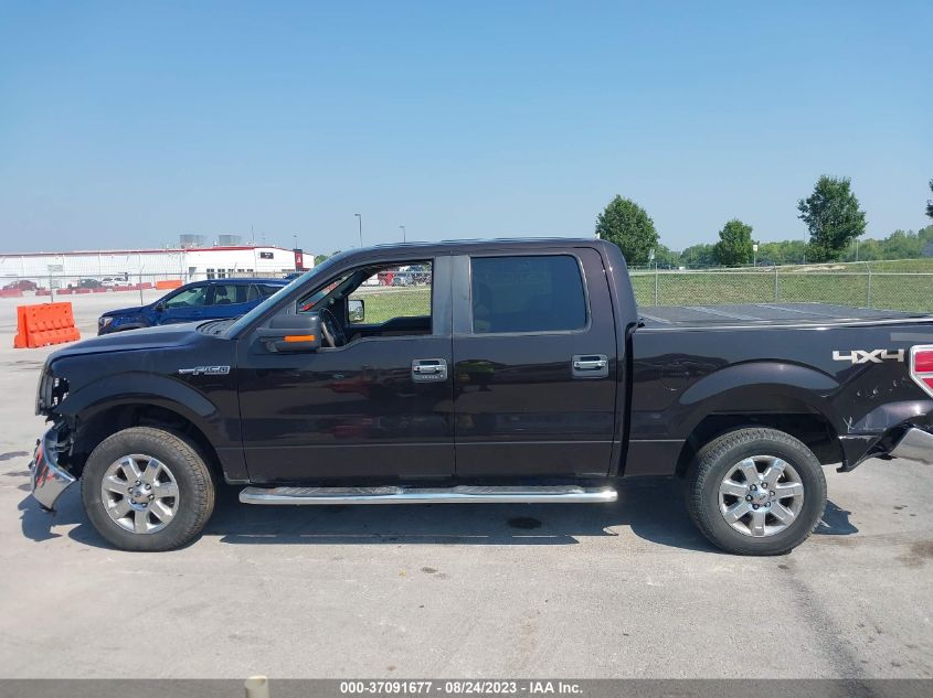 2014 FORD F-150 XL/XLT/STX/FX4/LARIAT - 1FTFW1EF5EKF22825