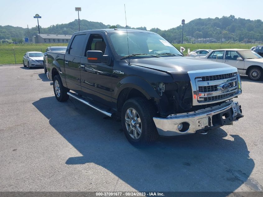 2014 FORD F-150 XL/XLT/STX/FX4/LARIAT - 1FTFW1EF5EKF22825