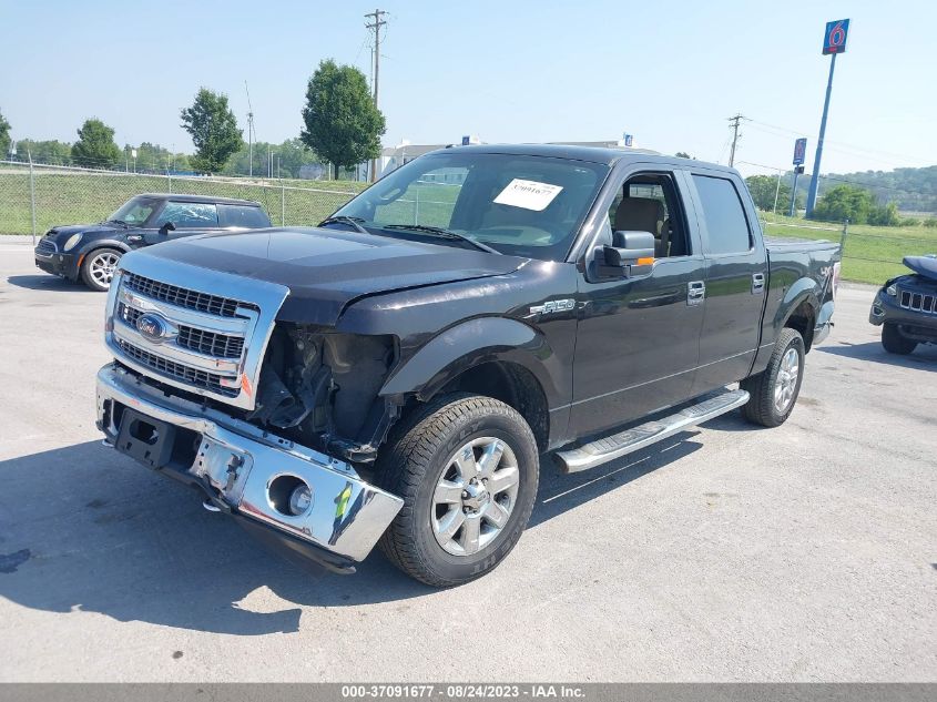 2014 FORD F-150 XL/XLT/STX/FX4/LARIAT - 1FTFW1EF5EKF22825