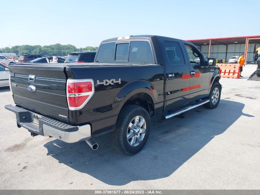 2014 FORD F-150 XL/XLT/STX/FX4/LARIAT - 1FTFW1EF5EKF22825