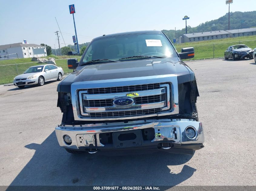 2014 FORD F-150 XL/XLT/STX/FX4/LARIAT - 1FTFW1EF5EKF22825
