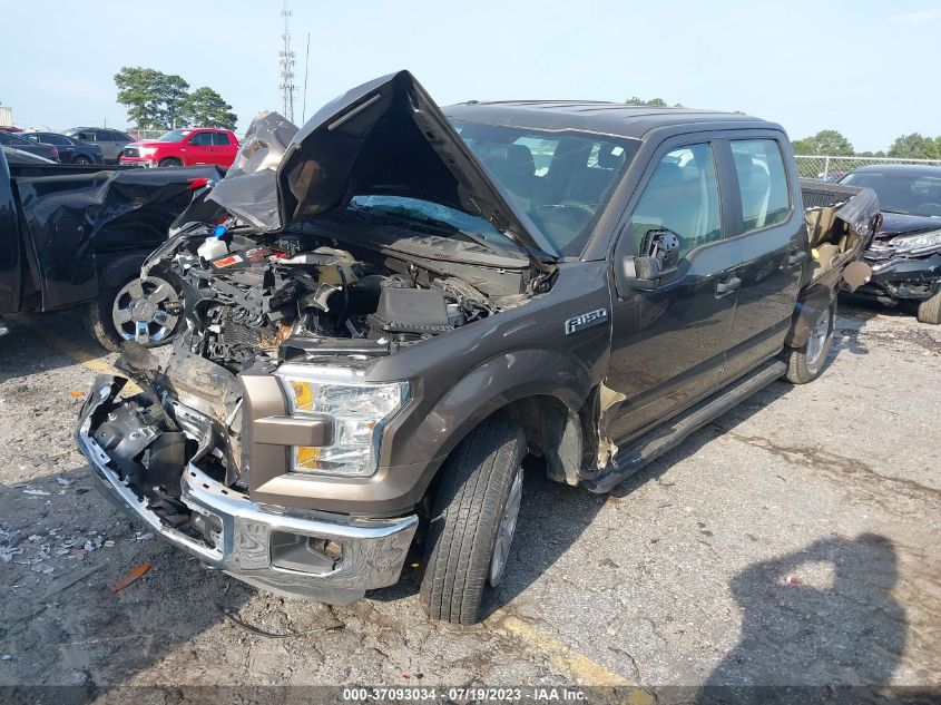 2015 FORD F-150 XLT/XL - 1FTEW1E87FFD00567