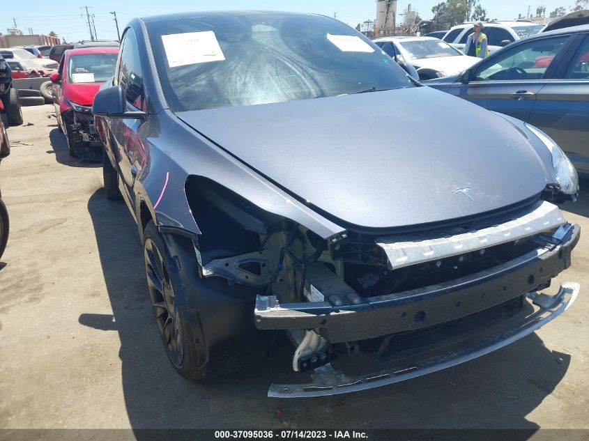 2023 TESLA MODEL Y - 7SAYGDEE5PA124870