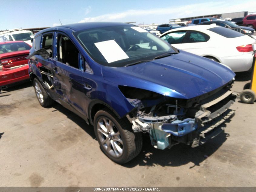 2013 FORD ESCAPE SEL - 1FMCU0H99DUA86973