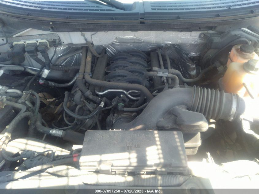 2013 FORD F-150 XL/XLT/FX4/LARIAT - 1FTFW1EF3DFC00255