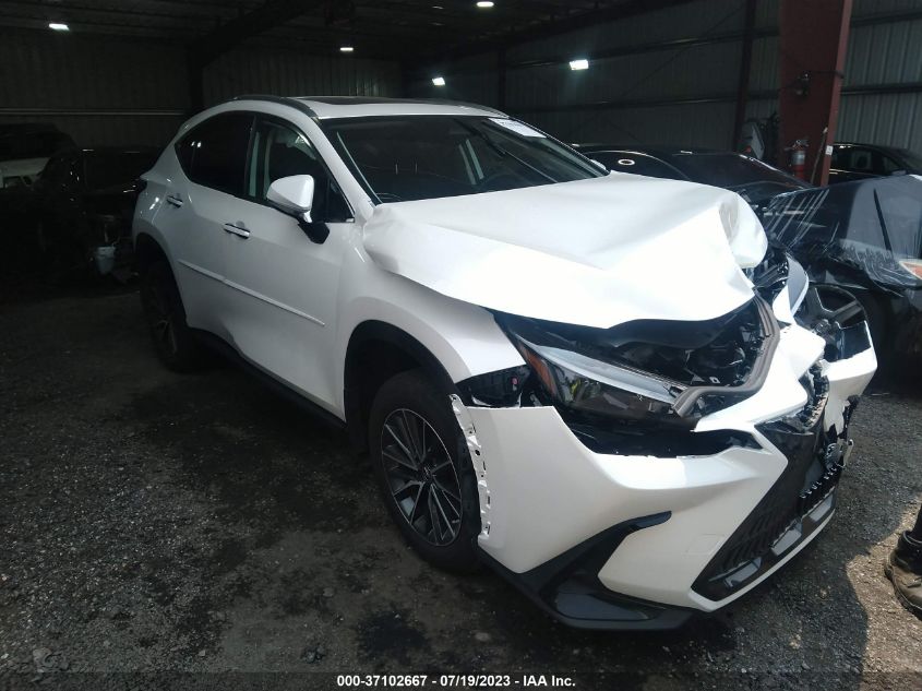 2022 LEXUS NX NX 350H - JTJAKCEZ5N5002387
