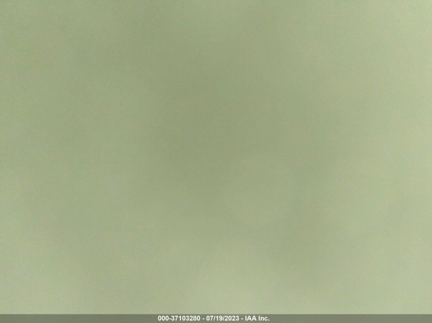 2020 TESLA MODEL 3 - 5YJ3E1EA9LF612306