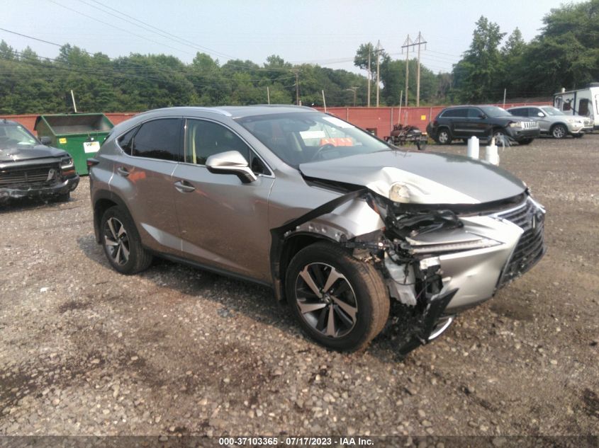 2018 LEXUS NX NX 300 - JTJBARBZ8J2164704