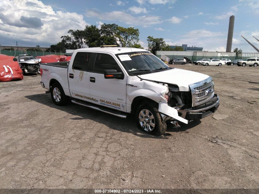 2014 FORD F-150 XL/XLT/FX4/LARIAT - 1FTFW1ET3EFA89147