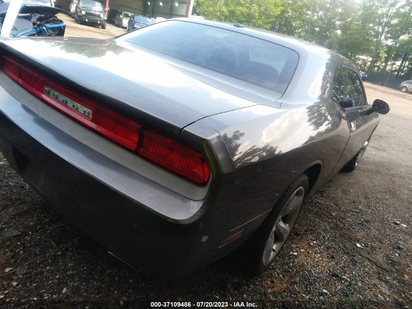 2013 DODGE CHALLENGER SXT - 2C3CDYAG2DH596570