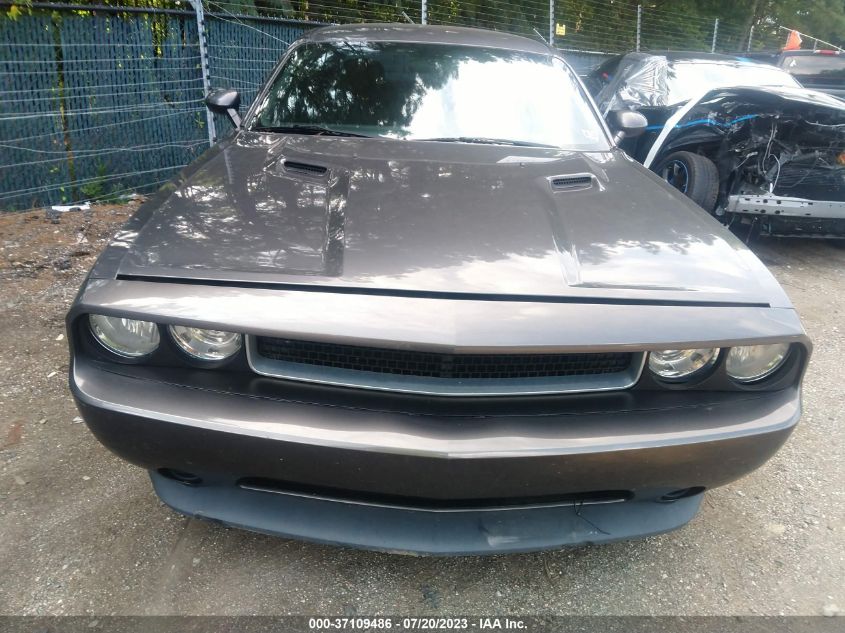 2013 DODGE CHALLENGER SXT - 2C3CDYAG2DH596570