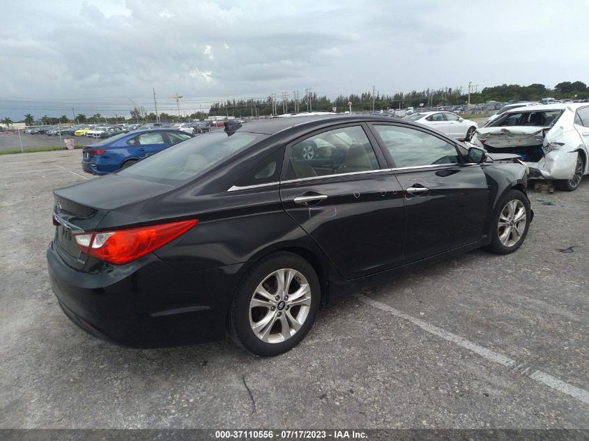 2013 HYUNDAI SONATA LIMITED - 5NPEC4AC2DH637784