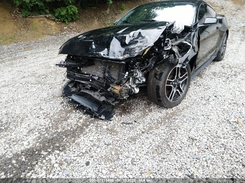 2019 FORD MUSTANG GT - 1FA6P8CF4K5199019