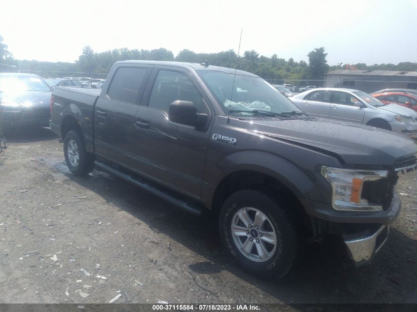 2019 FORD F-150 XL/XLT - 1FTEW1EB3KKE01019