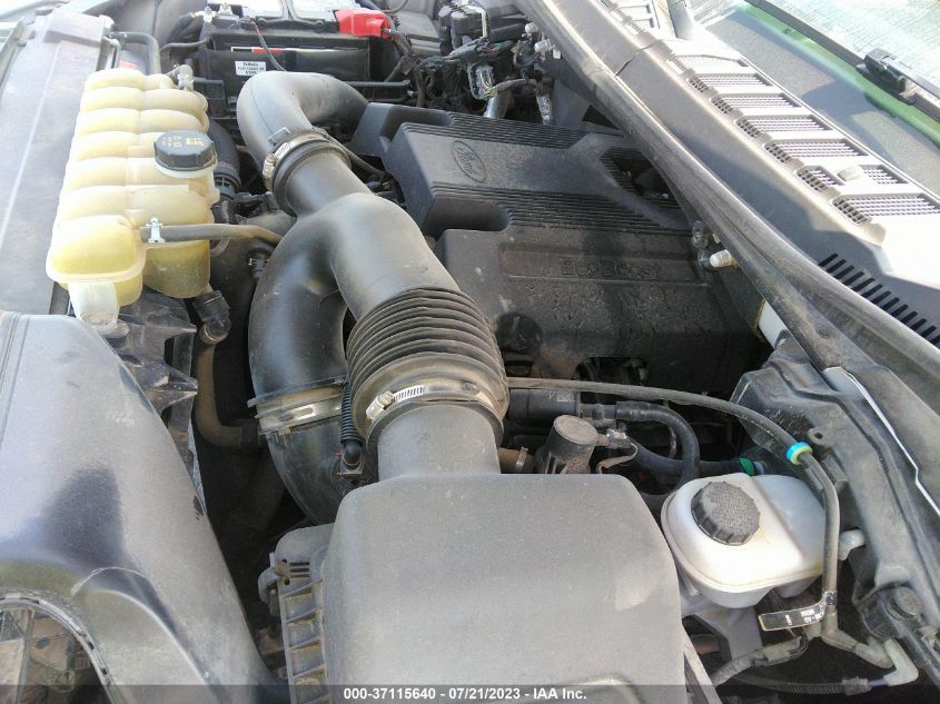 2019 FORD F-150 XL/XLT/LARIAT - 1FTFW1E4XKKD51922