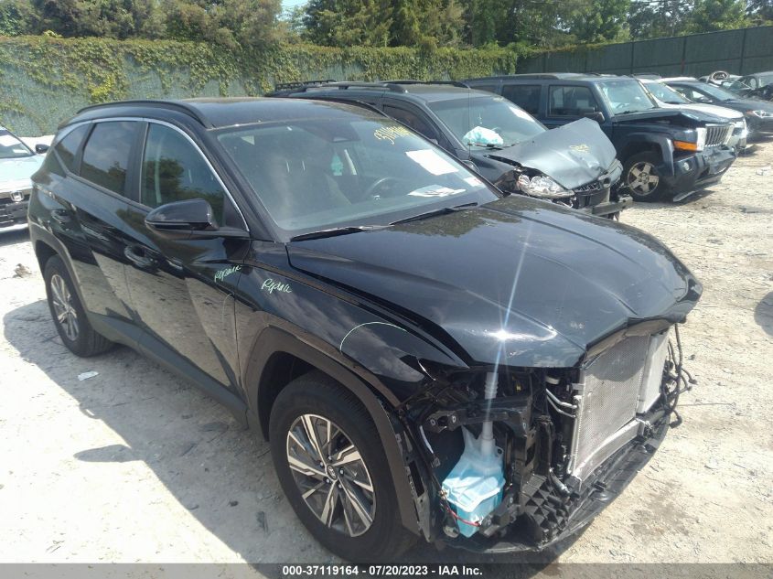 2022 HYUNDAI TUCSON HYBRID BLUE - KM8JBCA10NU063876
