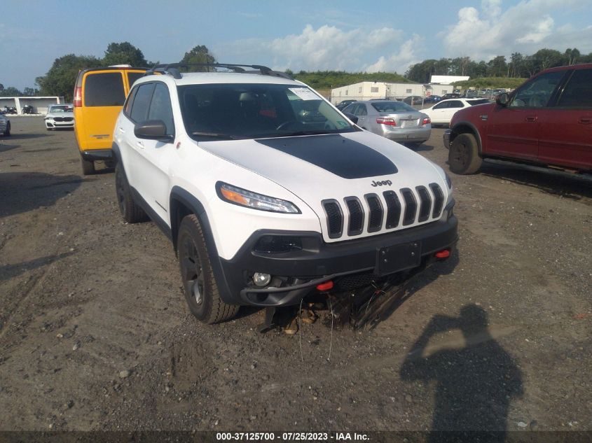 2016 JEEP CHEROKEE TRAILHAWK - 1C4PJMBB7GW232510