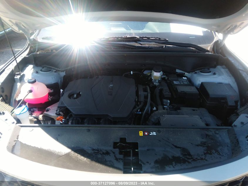2023 KIA SORENTO X-LINE S - 5XYRLDLC1PG164860