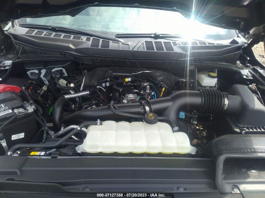 2023 FORD F-150 XL/XLT - 1FTEX1EP8PKD50164
