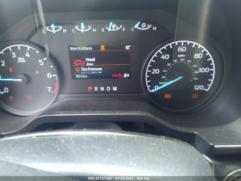 2023 FORD F-150 XL/XLT - 1FTEX1EP8PKD50164