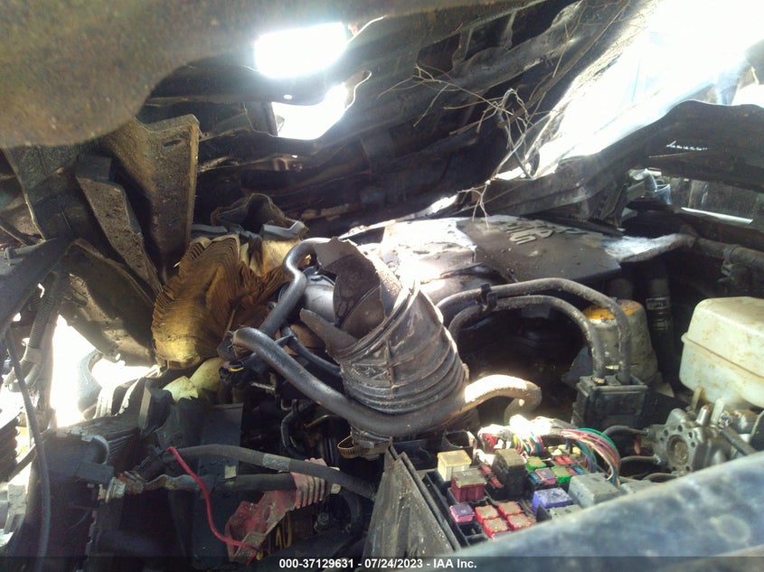 VIN 3TMCZ5AN5HM058477 2017 TOYOTA TACOMA DBL CAB/SR/TRDSPT/OR/PRO