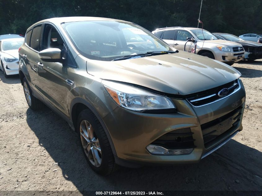 2013 FORD ESCAPE SEL - 1FMCU9H96DUB27418