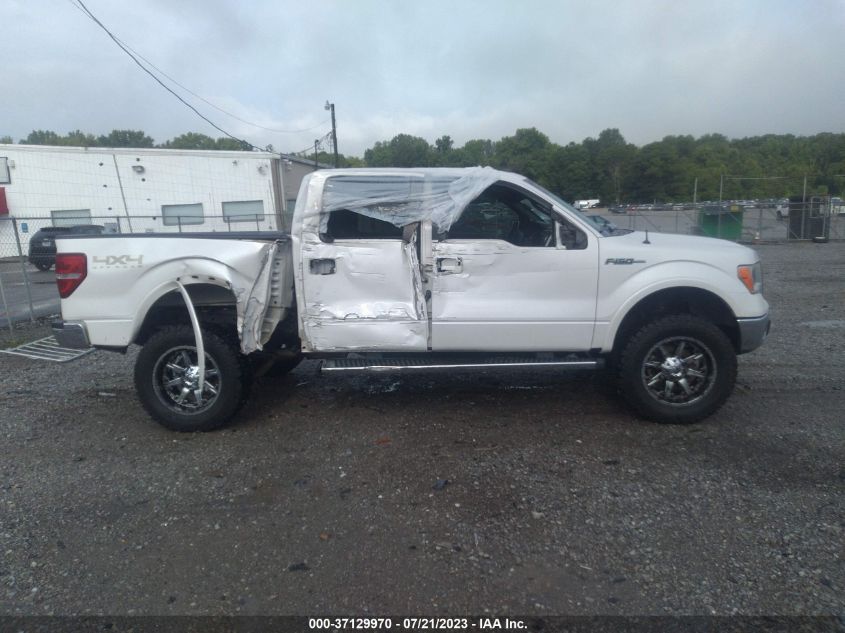 2013 FORD F-150 XL/XLT/FX4/LARIAT - 1FTFW1EF7DKE48967