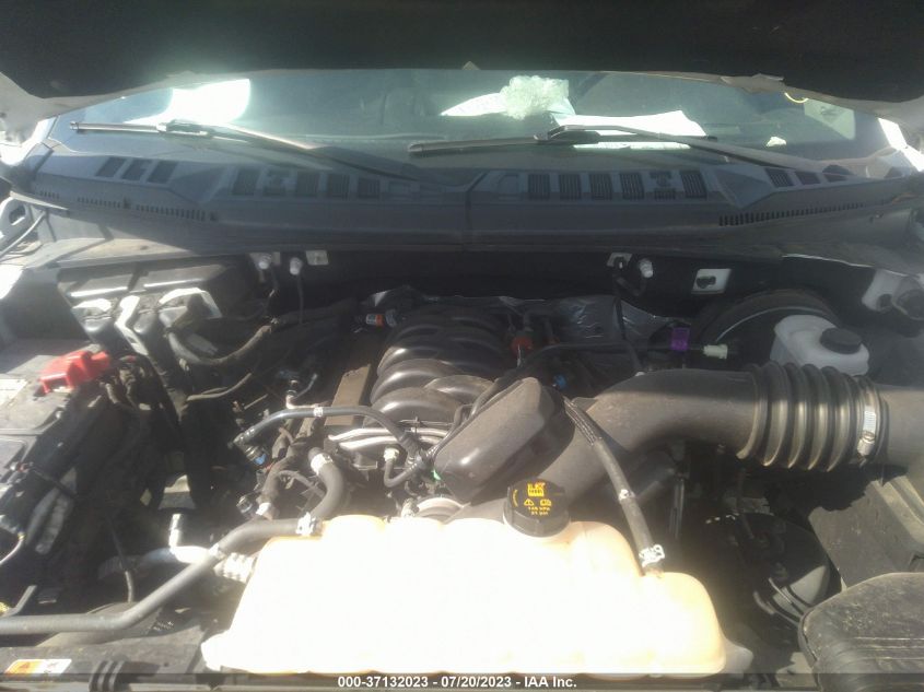 2019 FORD F-150 XL/XLT/LARIAT - 1FTEW1C59KFA19650