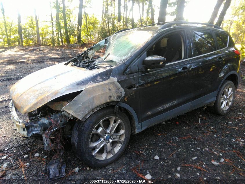 2013 FORD ESCAPE SEL - 1FMCU9H94DUA03535