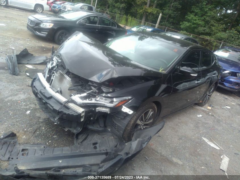 2019 NISSAN MAXIMA SV - 1N4AA6AV0KC363629