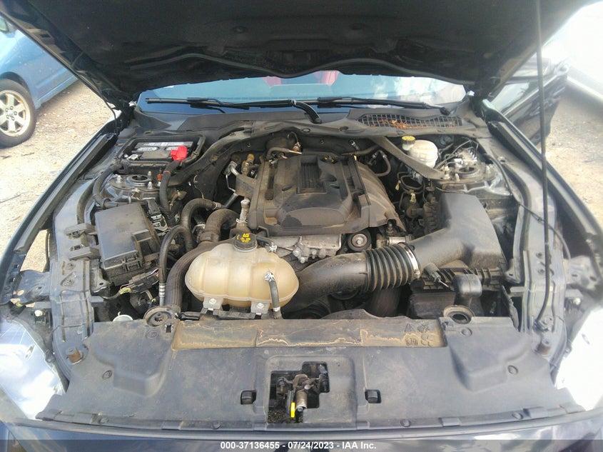 VIN 1FATP8UH1K5162707 2019 FORD MUSTANG