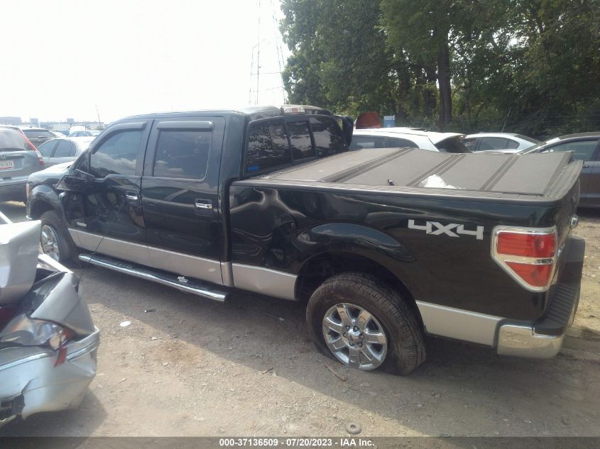 2013 FORD F-150 XL/XLT/FX4/LARIAT - 1FTFW1ET7DFA28656