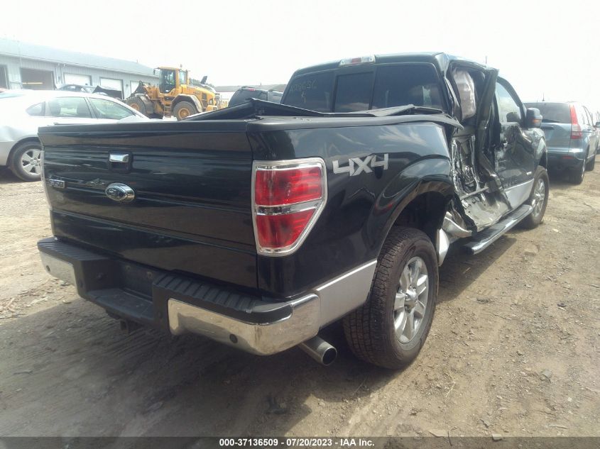 2013 FORD F-150 XL/XLT/FX4/LARIAT - 1FTFW1ET7DFA28656