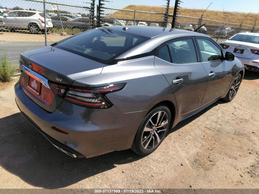 2023 NISSAN MAXIMA SV - 1N4AA6CV3PC509767