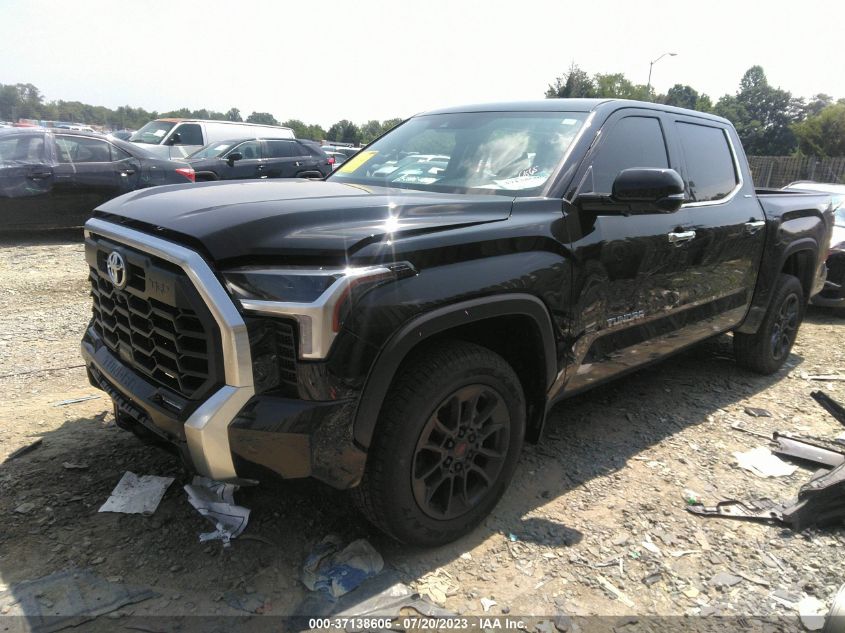 2023 TOYOTA TUNDRA LIMITED 5TFJA5DB7PX097760