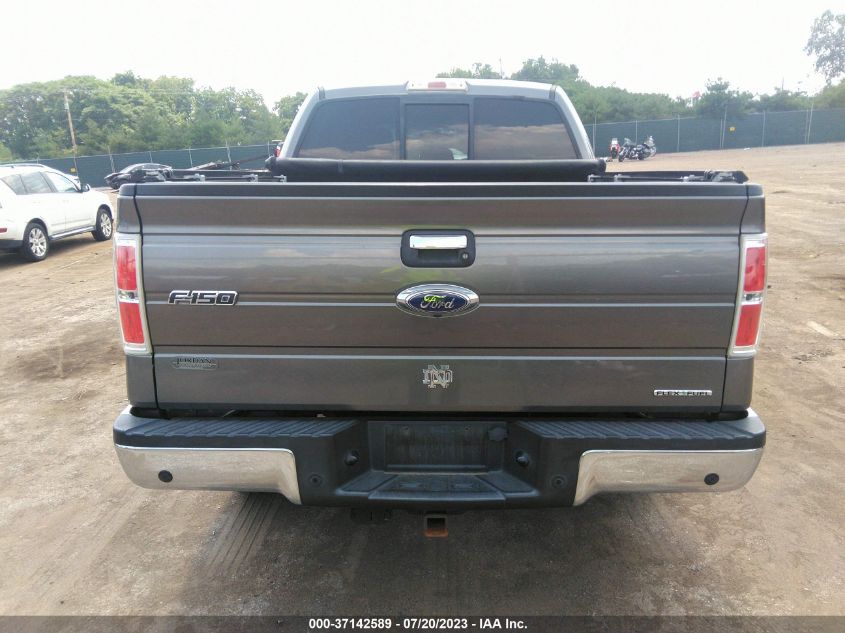 2013 FORD F-150 XL/XLT/FX4/LARIAT - 1FTFW1EF8DFA59733