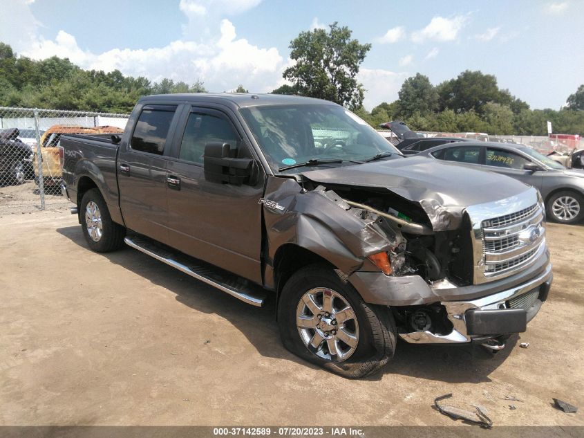 2013 FORD F-150 XL/XLT/FX4/LARIAT - 1FTFW1EF8DFA59733