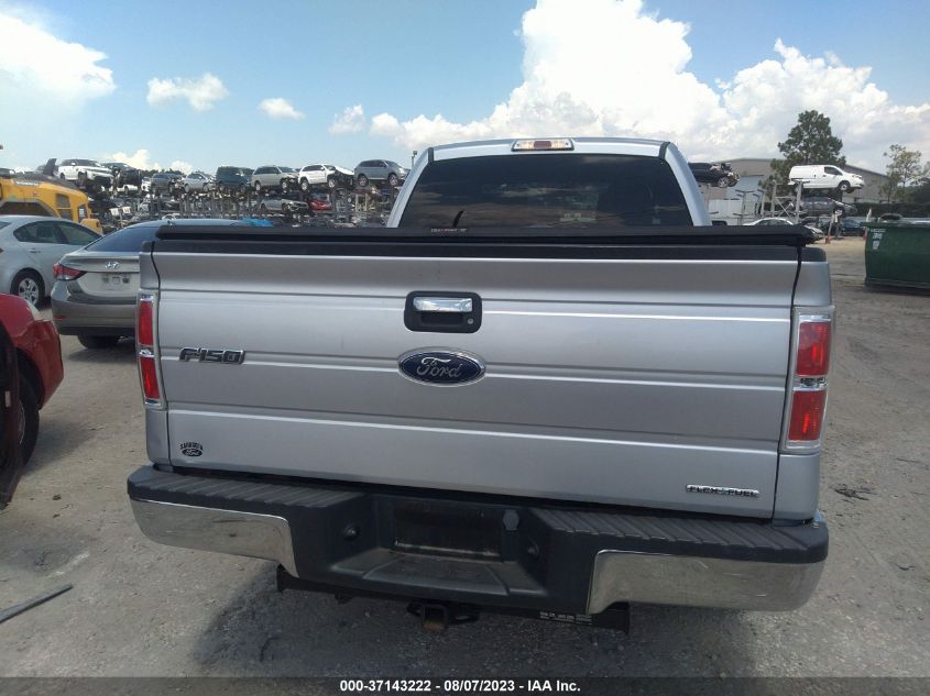 2013 FORD F-150 XL/STX/XLT - 1FTEX1CM2DFD95162