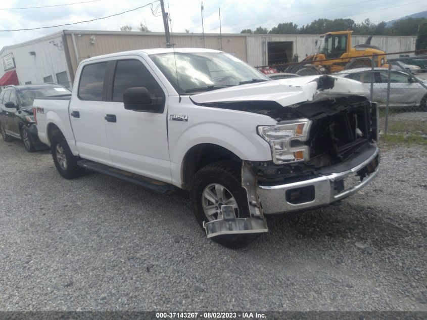 2017 FORD F-150 XL/XLT/LARIAT - 1FTEW1EF8HKD29293