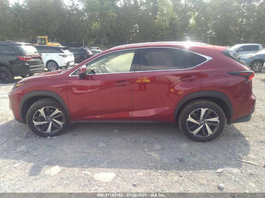 2021 LEXUS NX NX 300 - JTJGARBZ2M5027489