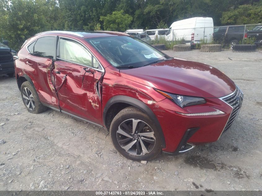 2021 LEXUS NX NX 300 - JTJGARBZ2M5027489
