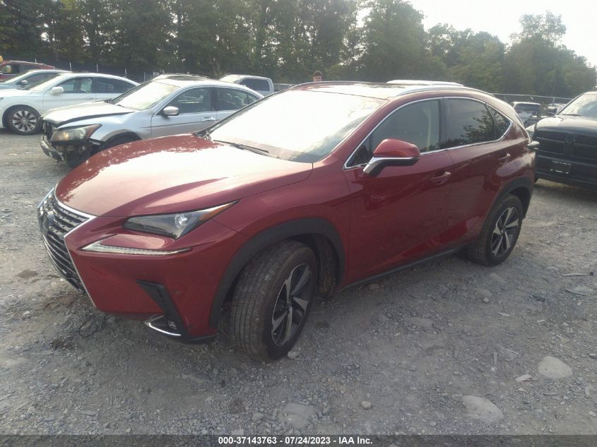 2021 LEXUS NX NX 300 - JTJGARBZ2M5027489