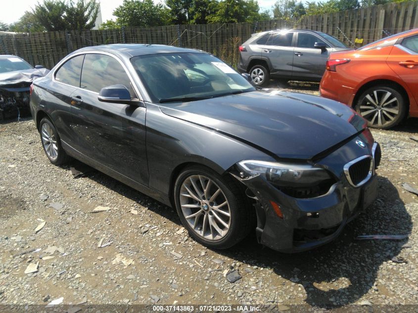 2015 BMW 2 SERIES 228I XDRIVE - WBA1F7C57FVX95706