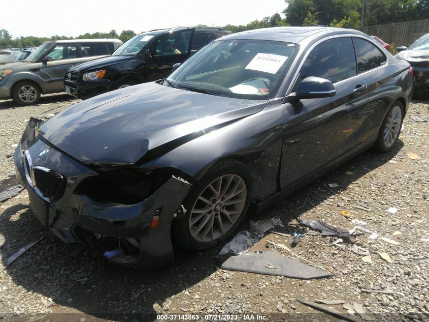 2015 BMW 2 SERIES 228I XDRIVE - WBA1F7C57FVX95706