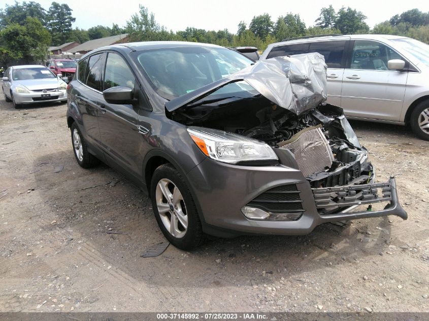 2013 FORD ESCAPE SE - 1FMCU0GX2DUD62071